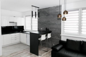 Apartament z łożem małżeńskim - bezpłatny parking